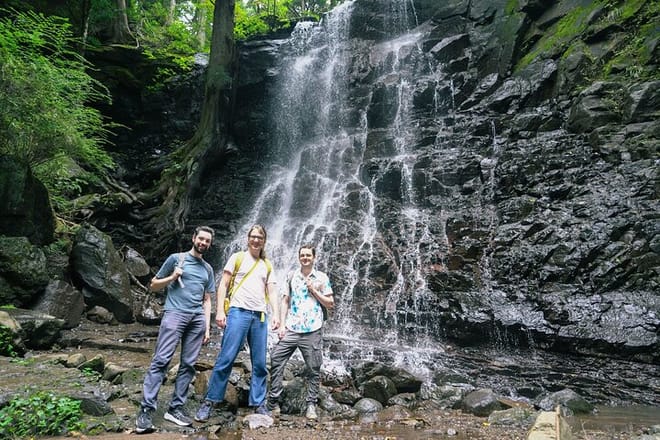 Mt. Fuji Private Chartered Tour with Nature and Wasabi Farm 4