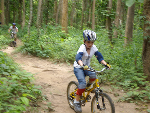 "BIKE 8" 1-Day Rain forest and lake, mountain bike ride, Chiang Mai