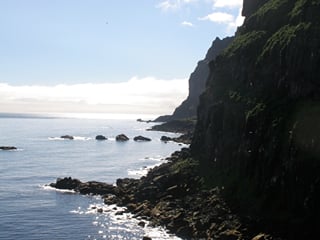 Sailing in Seydisfjordur and nearby area , photo 8