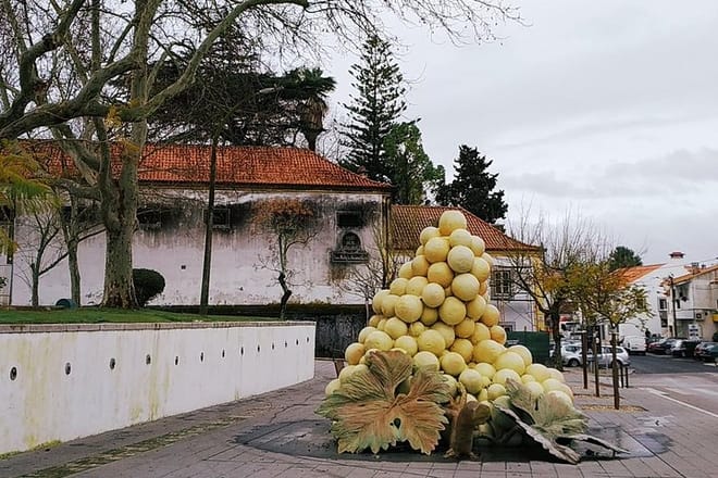 Arrábida tour with wine tasting 4