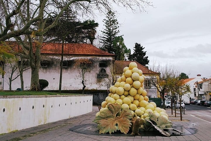 Arrábida tour with wine tasting 4