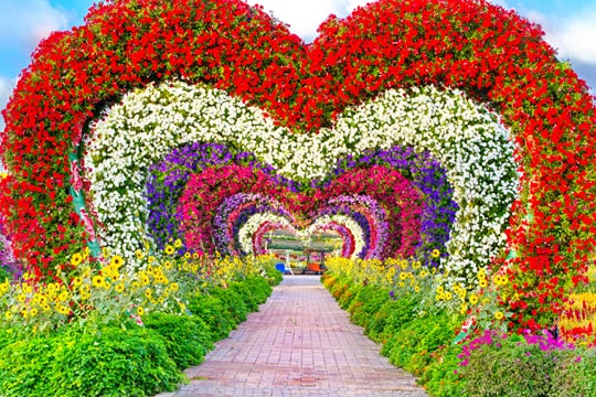 Private Dubai City tour & Miracle Garden tour