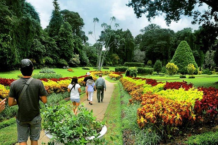 Private Kandy Day Tour: Tea Plantations, Temples & Cultural Show