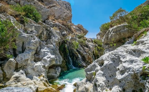 Private Day Trip to Preveli Palm Beach from Chania
