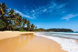 Day Tour to Galle 3