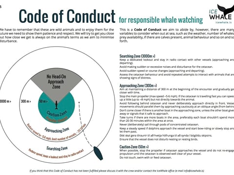  Midnight Whale watching / hydrophone, photo 7