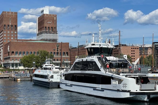 Oslo: 3 hour Island Hopping tour: Cottages, Ruins & Fjord Views photo 6