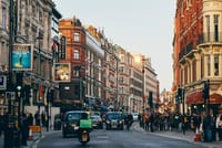 Full Day Traditional Private London Tour with Car/Black Cab/SUV/Van/Coach 10