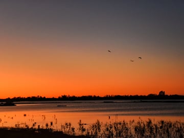 Doñana National Park Private Roundtrip
