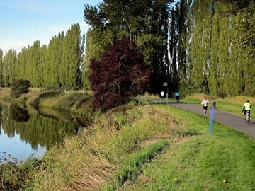 Seattle 5-Hour Small-Group Attractions Tour