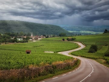 Wine Tasting and Vineyard Tour in Burgundy from Paris