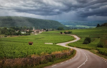 Wine Tasting and Vineyard Tour in Burgundy from Paris