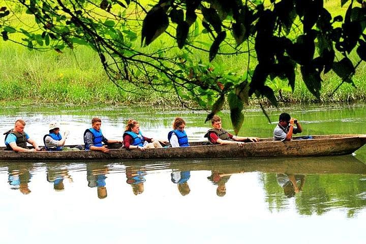 Chitwan Jungle Safari Tour: Wildlife Adventures & Tharu Culture Experience