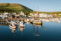 Húsavík, the whale watching capital