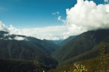 4-Day Jungle Adventure in Manu National Park from Cusco