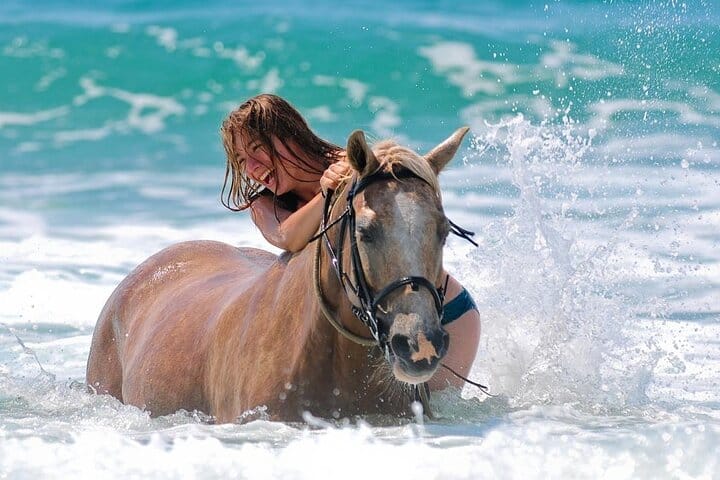 3-Hour Swim with Horses Experience in Hurghada