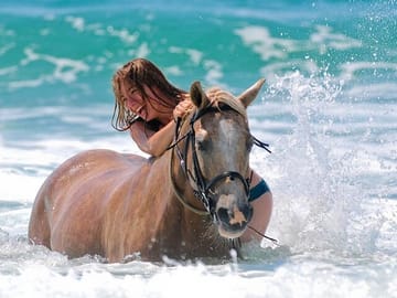 Swim and Ride with Horses in Hurghada, Egypt
