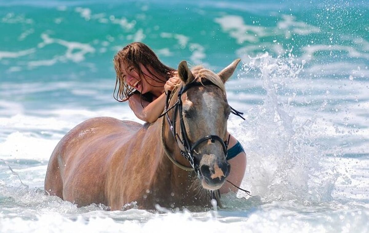 3-Hour Swim with Horses Experience in Hurghada