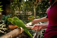 Private 3-Day Iguazu Falls Tour 2