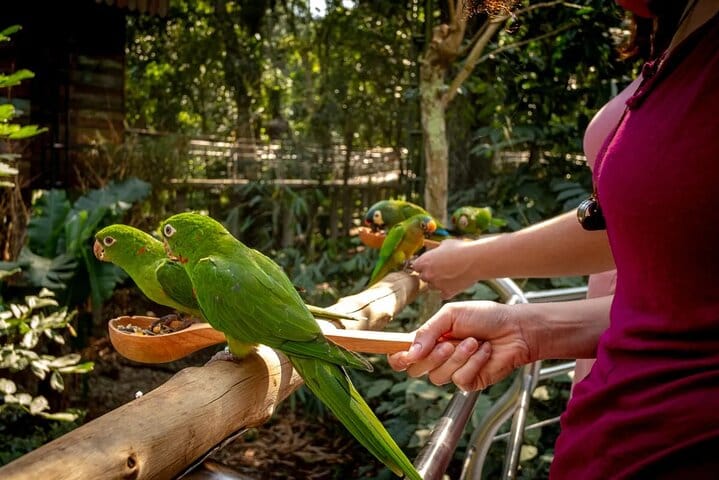 Private 3-Day Iguazu Falls Tour 2