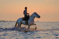 Kemer Horseback Riding Tour with Roundtrip Transfer 10