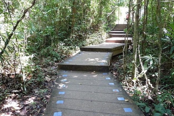 Thailand’s Last Lowland Rainforest – A Hidden Gem Tour photo 5