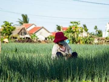 10 Days Free And Easy Explorations Of Vietnam’s Rich Heritage