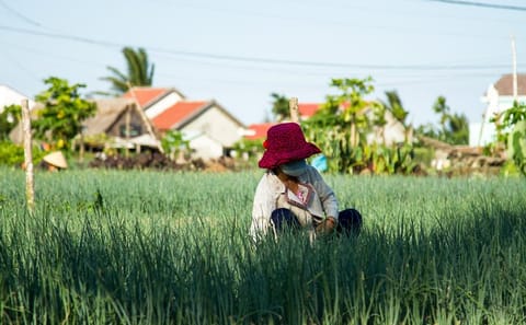 Hue Culinary and Cultural Bike Tour Experience