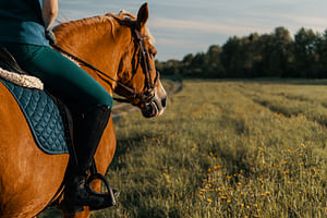 Horse Riding in Arctic Wilderness - Small Group