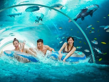 Singapore: Adventure Cove Waterpark Entrance Ticket