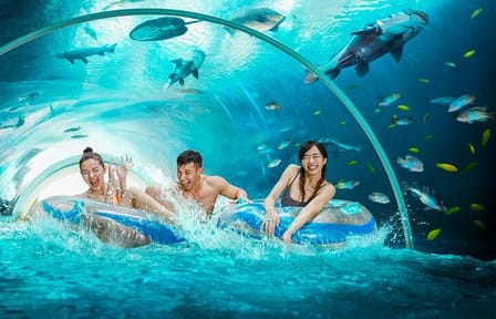 Singapore: Adventure Cove Waterpark Entrance Ticket