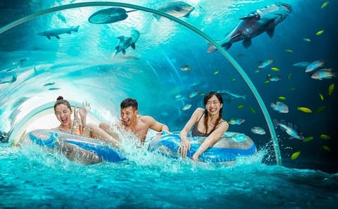 Singapore: Adventure Cove Waterpark Entrance Ticket