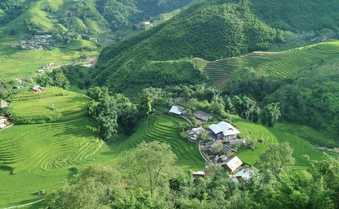 2-Day Trek and Homestay in Sa Pa's Ethnic Villages
