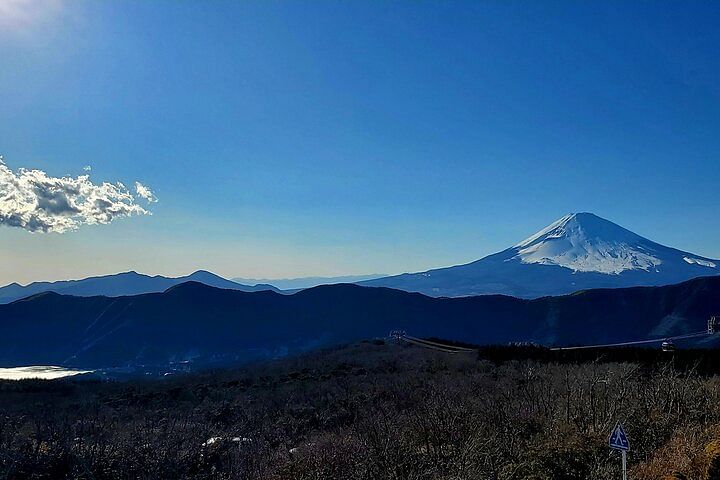 Full Day Private Guided Tour Mt. Fuji and Hakone