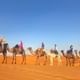 Desert Delights: 4-Day From Fes to Merzouga and Marrakech