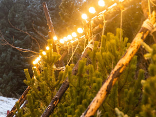 The Icelandic Christmas Advent Driving Tour, photo 8
