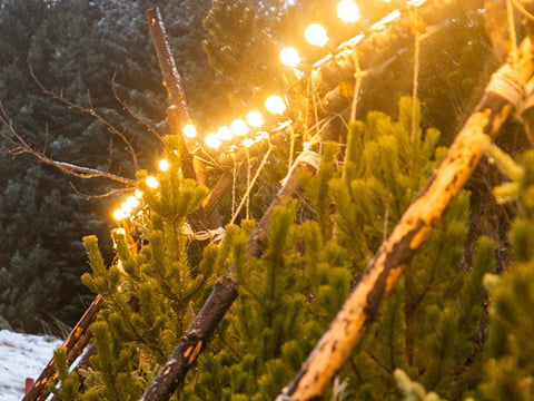 The Icelandic Christmas Advent Driving Tour, photo 8