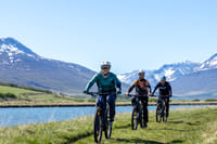 Svarfaðadalur Private E-mtb tour 3