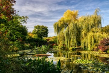 Day Trip to Giverny: Explore Monet's Residence from Paris