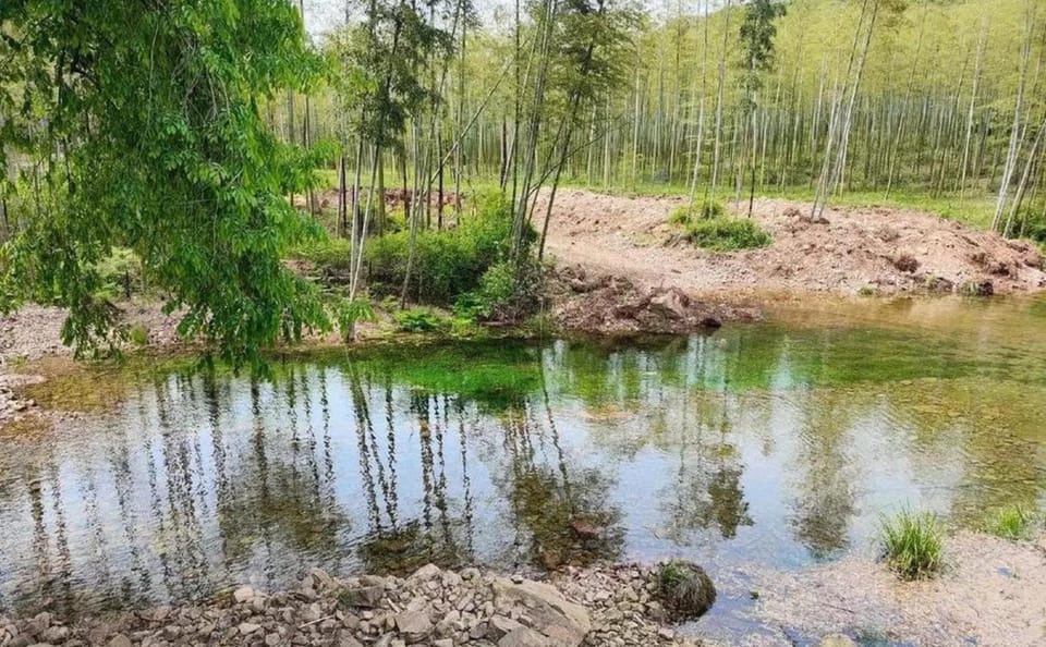 Family Hike and Cooking Adventure in Changxing from Shanghai