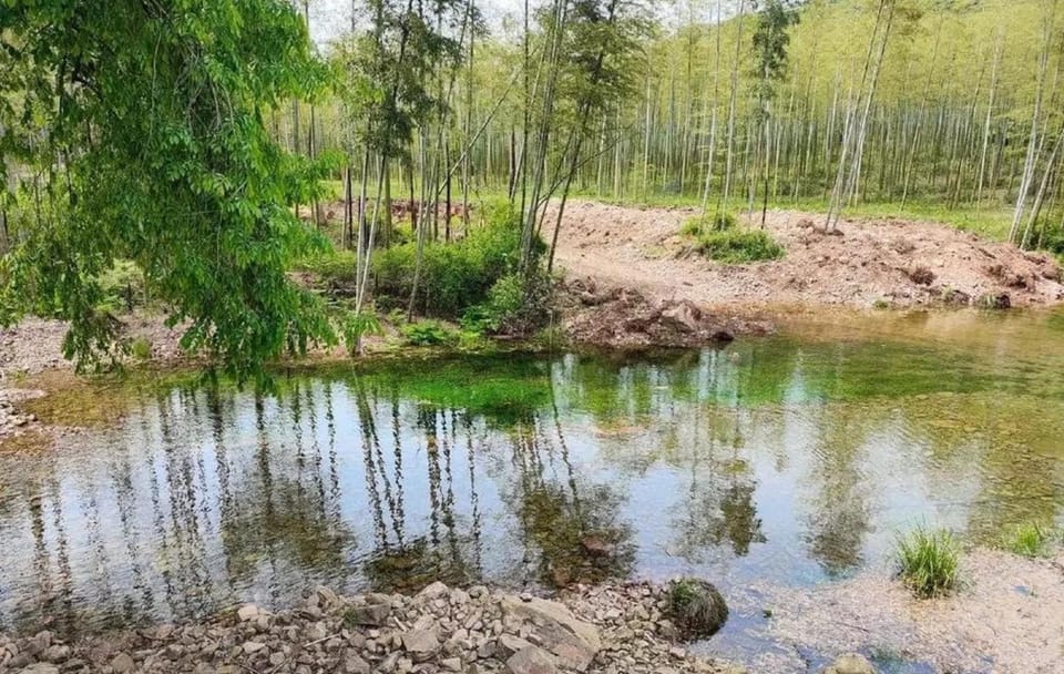 Family Hike and Cooking Adventure in Changxing from Shanghai