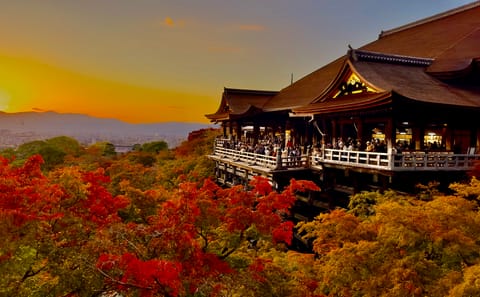 Kyoto Private Tour: Explore Top Temples, Shrines & Culture