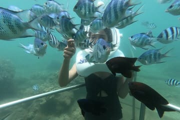 Cham Islands Full-Day Cruise with Underwater Walking from Hoi An
