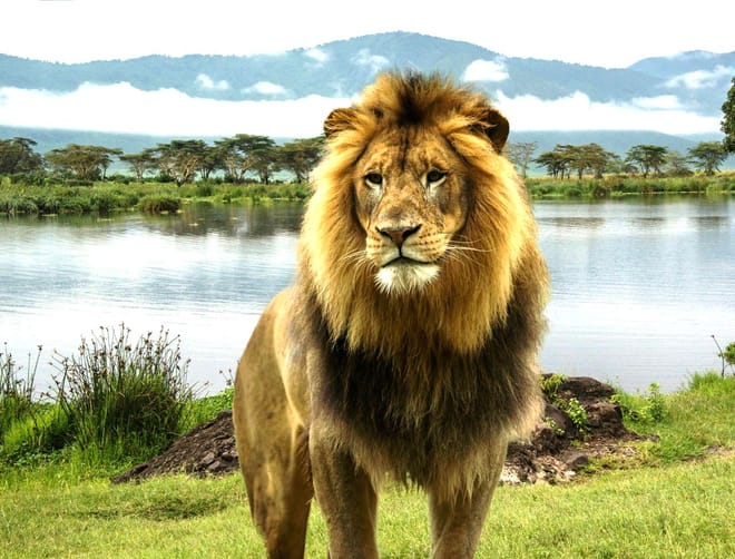3-Day Maasai Mara Camping Safari 10