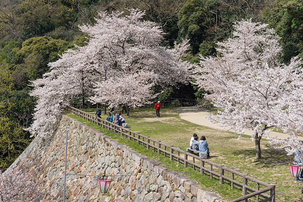 Tottori Private Vehicle Service with Restaurant Reservation