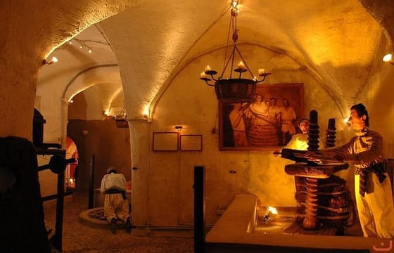 Santorini Acient Akrotiri and Wine museum