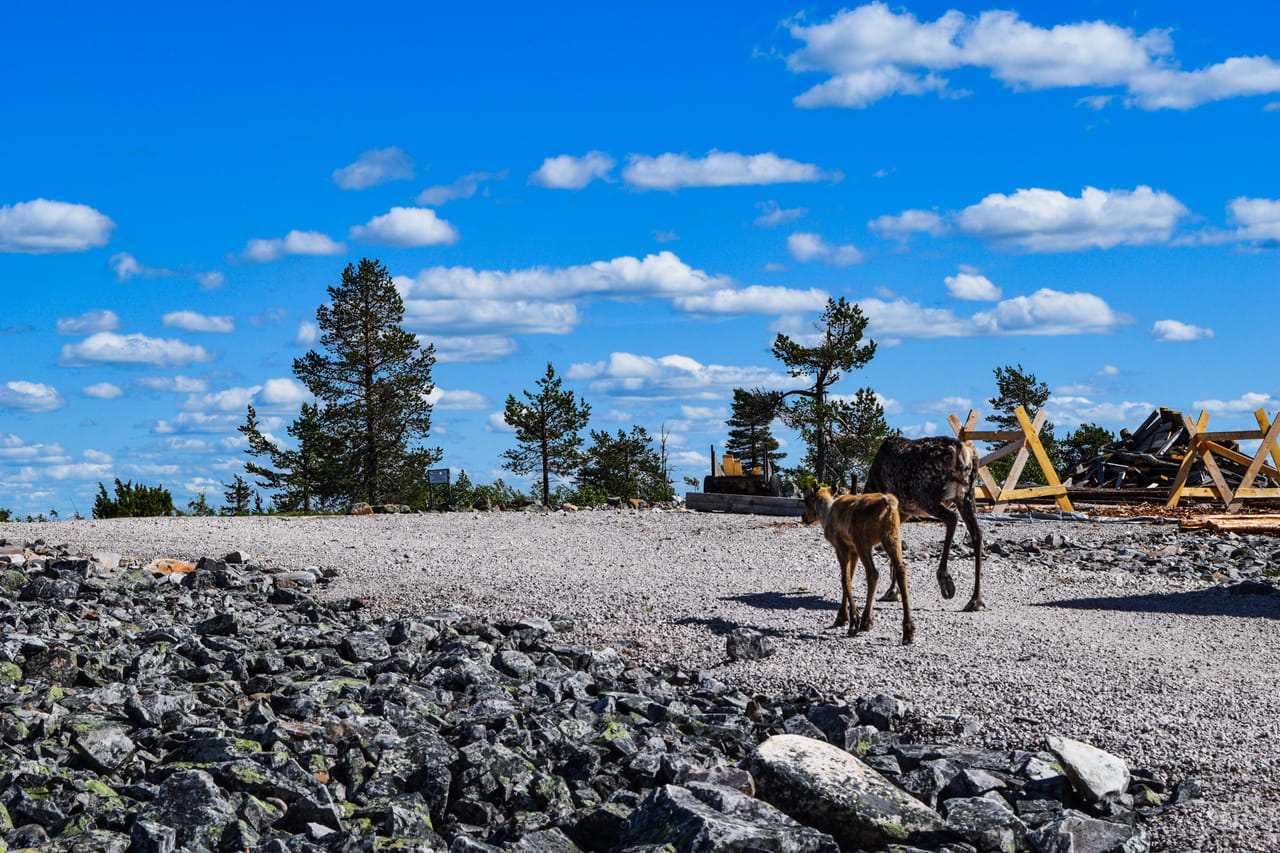 Trip to Pyhä-Luosto National Park and Amethyst Mine - Rovaniemi 10