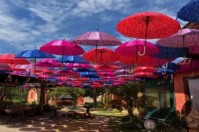 Art Of Wine – Travel Through The So-Called Wine Route Visiting Various Wineries 6