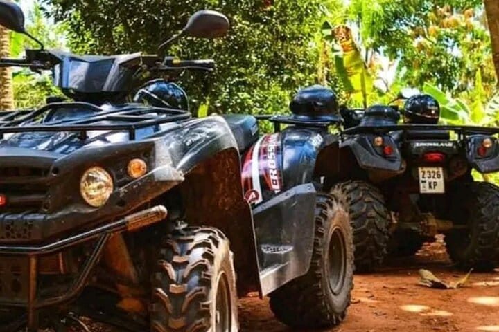 7 Days Zanzibar Holiday with Mikumi National Park Day Trip