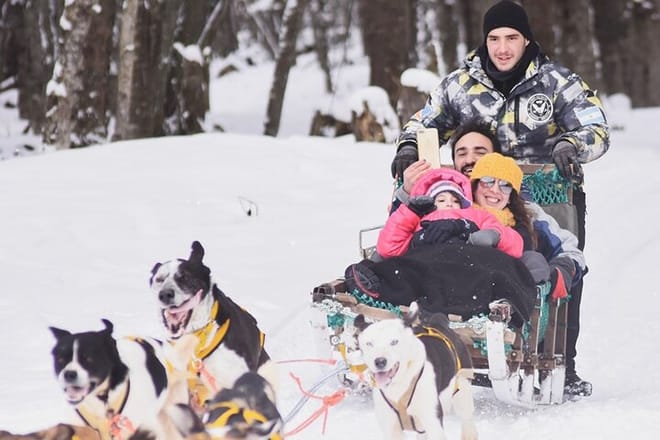 Winter in Ushuaia: Snowshoes, Snowmobile and Sleigh Rides 9